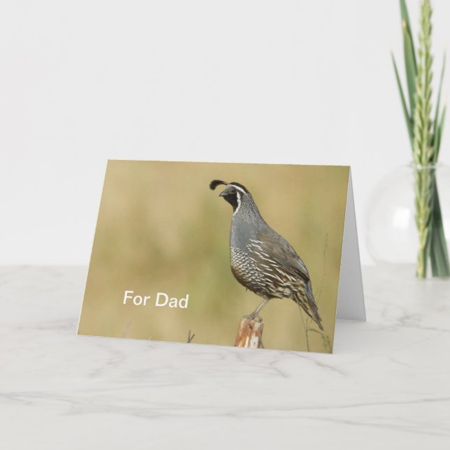 California Quail Fars dag Kort (Framsida)