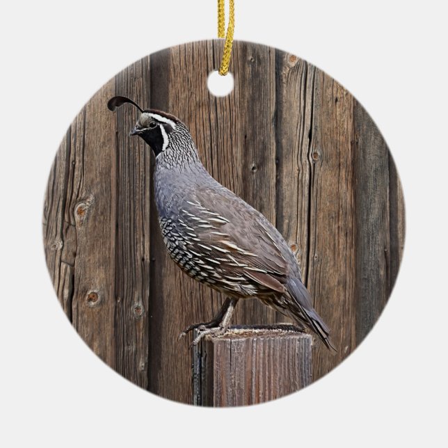 CALIFORNIA QUAIL PÅ BARNBOARD JULGRANSPRYDNAD KERAMIK (Framsidan)