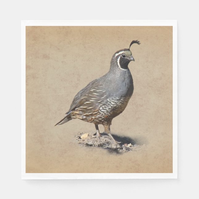 CALIFORNIA QUAIL PAPPERSSERVETT (Framsidan)