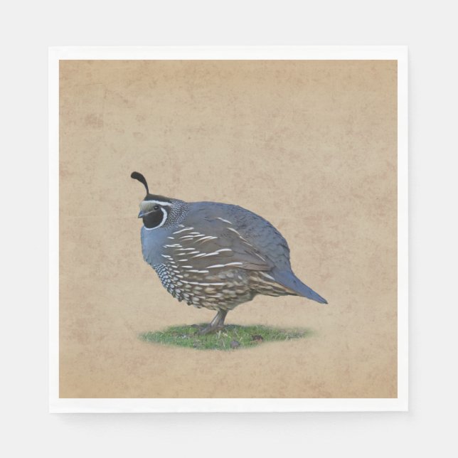 CALIFORNIA QUAIL PAPPERSSERVETT (Framsidan)