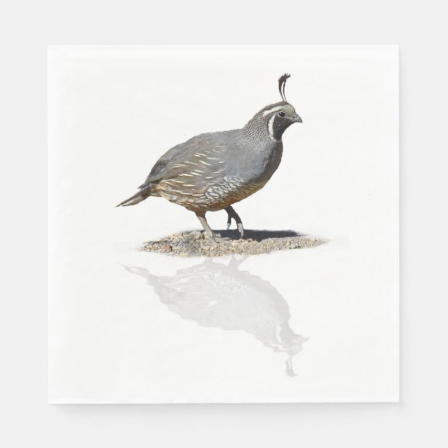 CALIFORNIA QUAIL REFLEECTED PAPPERSSERVETT (Framsidan)