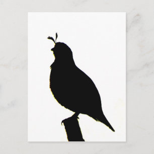 California Quail silhouette Postcard Vykort