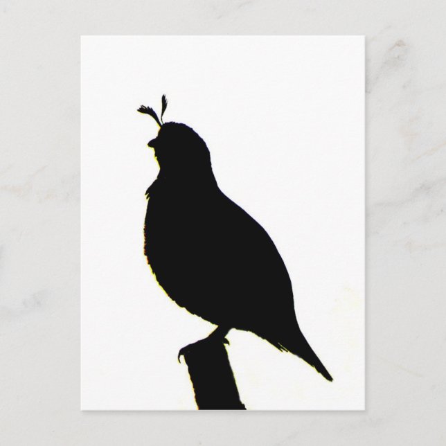 California Quail silhouette Postcard Vykort (Framsida)