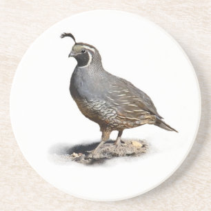CALIFORNIA QUAIL UNDERLÄGG SANDSTEN