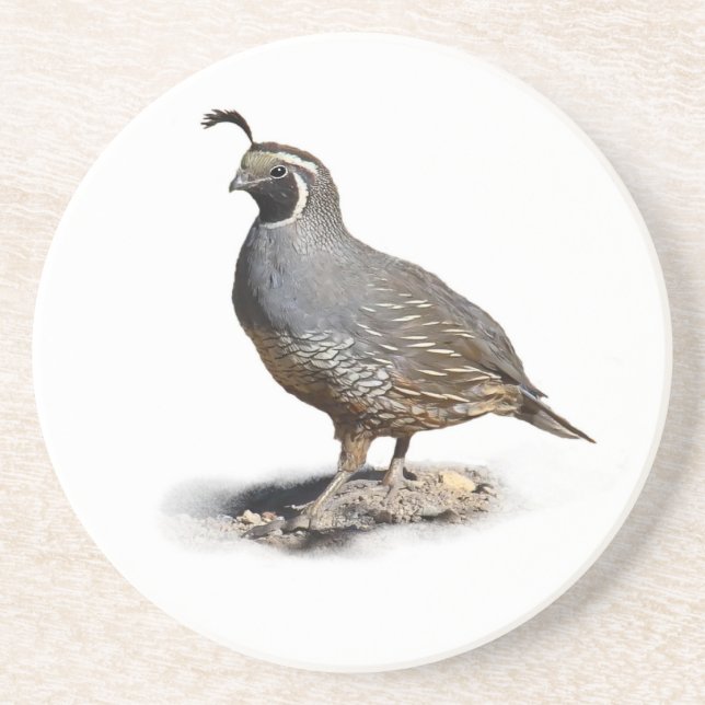 CALIFORNIA QUAIL UNDERLÄGG SANDSTEN (Framsidan)