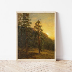 California Redwood Albert Bierstadt Poster