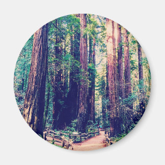 California Redwood Magnet