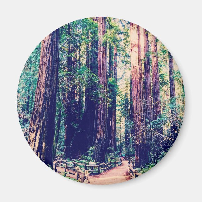 California Redwood Magnet (Framsidan)