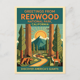 California Redwood National Park Retro 1930-tal Vykort