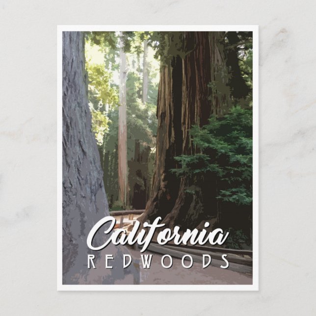California Redwood-postkort Vykort (Framsida)