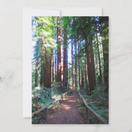 California Redwood Trail Design Spara Datumet
