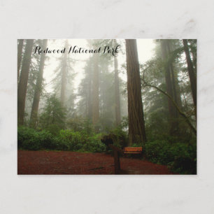 California Redwood Vykort