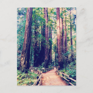California Redwood Vykort