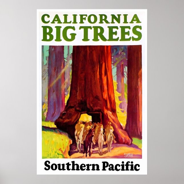 California Resemapposters Röda Skogar Konst Södra Poster (Framsidan)