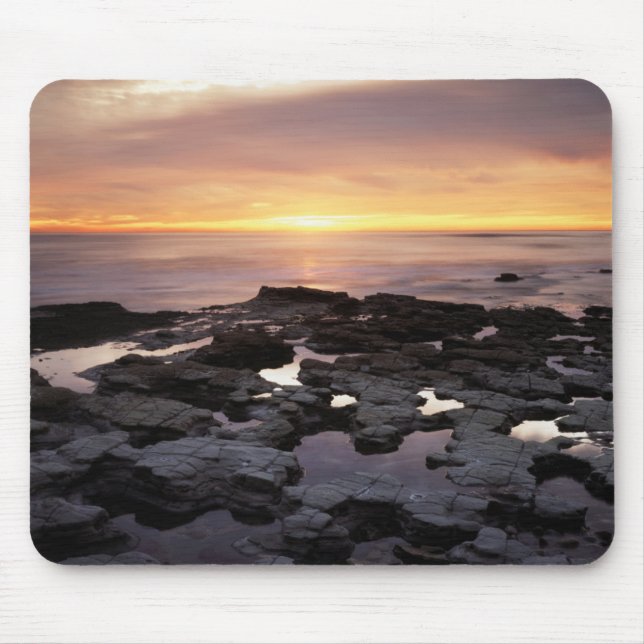 California, San Diego, Sunset Cliffs, Sunset 6 Musmatta (Framsidan)
