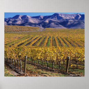 California, San Luis Obispo County, Edna Valley Poster