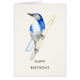 California SCrub Jay Grattis på födelsedagen Card Hälsningskort