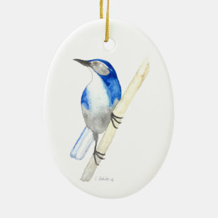 California SCrub Jay Julgransprydnad Keramik