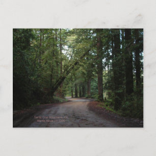 California Seasons - Redwood Road - Postcard Vykort