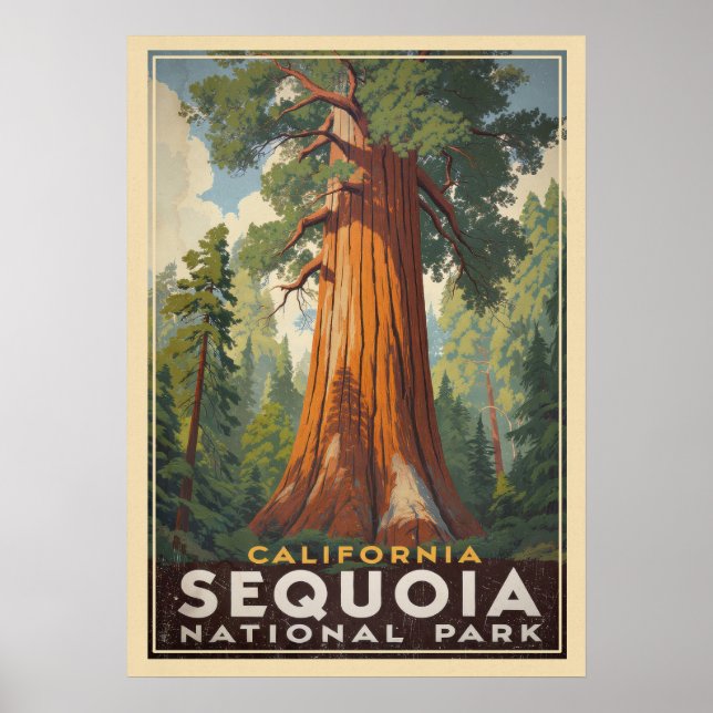 California Sequoia National Park V01 Poster (Framsidan)