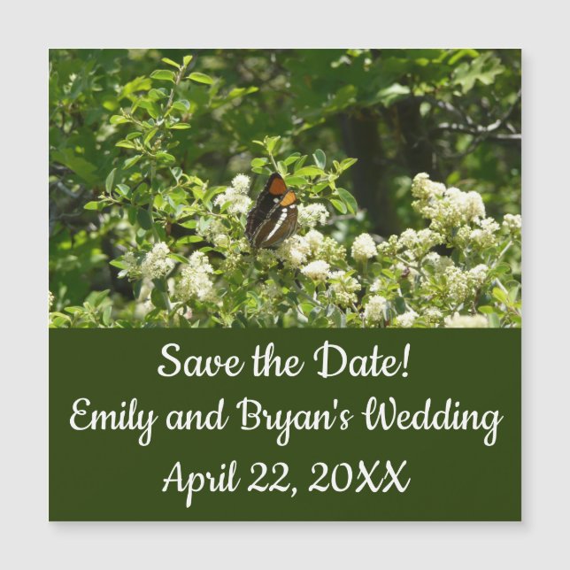 California Sister Butterfly in Yosemite (Framsida)