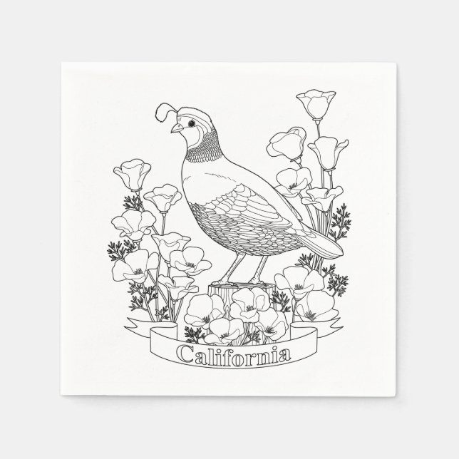 California State Bird and Flower Coloring Page Pappersservett (Framsidan)