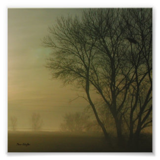 California Sunrise Träd Silhouette Photograph Fototryck