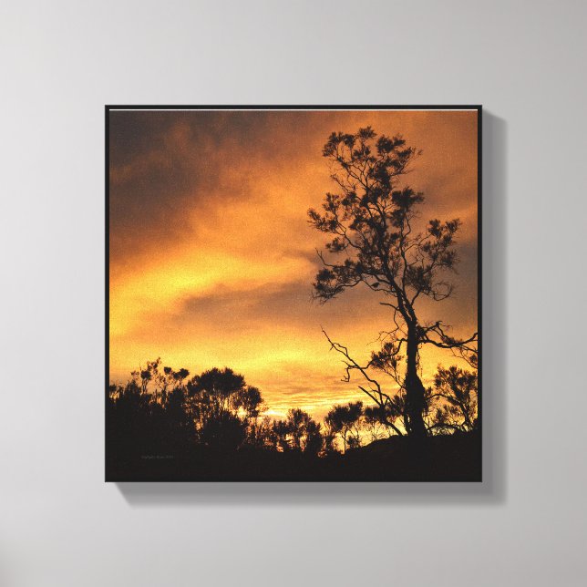 California Sunset Canvastryck (Framsida)