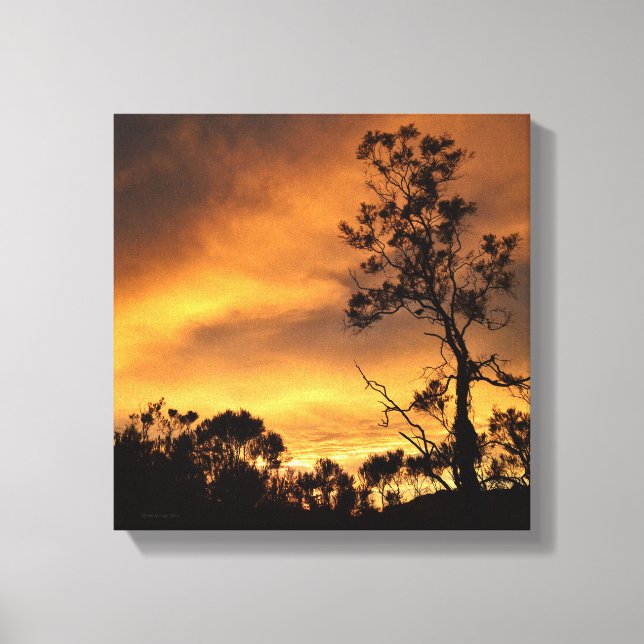 California Sunset Canvastryck (Framsida)