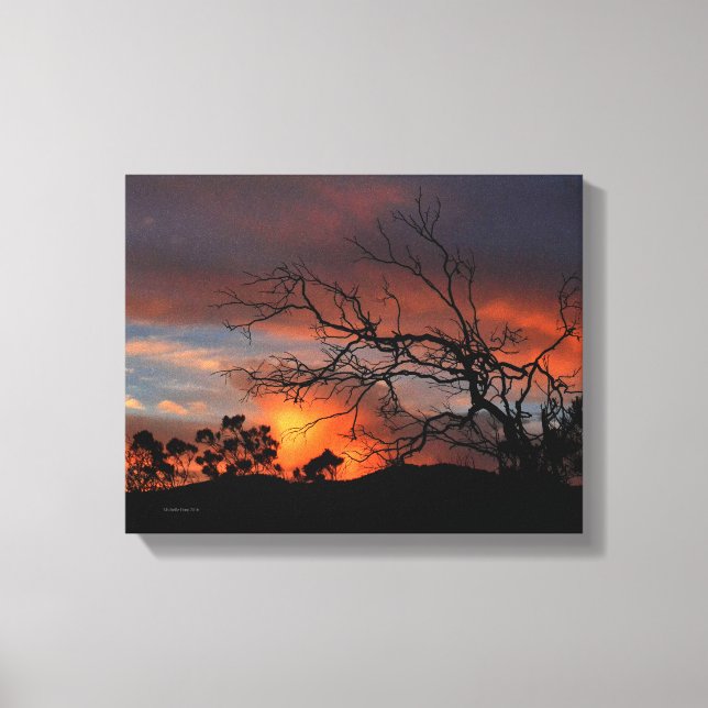 California Sunset Canvastryck (Framsida)