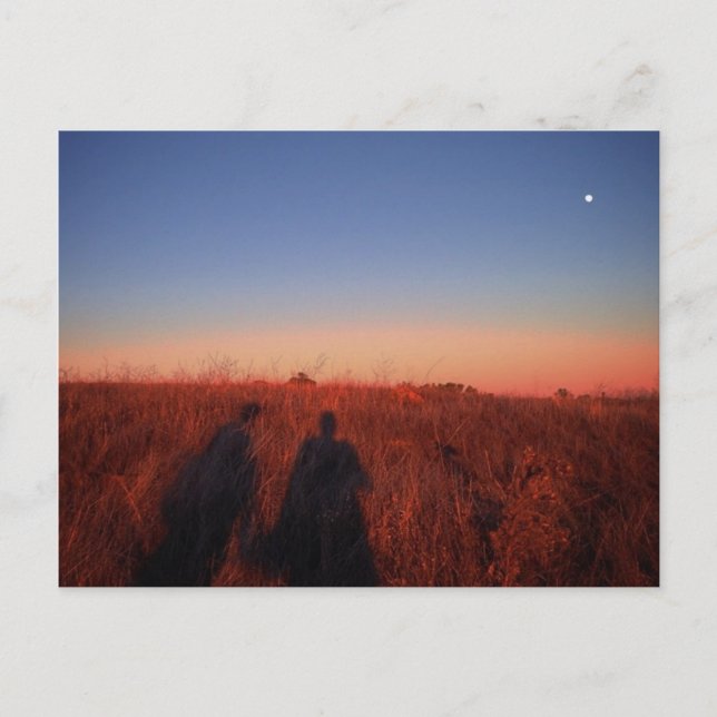 California Sunset Vykort (Framsida)