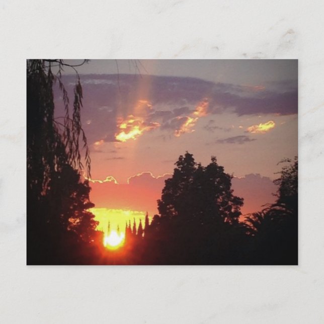 California Sunset vykort (Framsida)