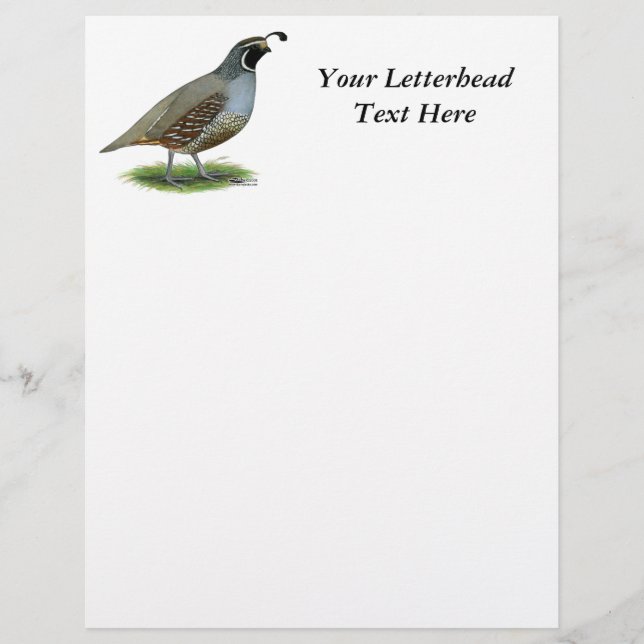 California Valley Quail (Framsida)