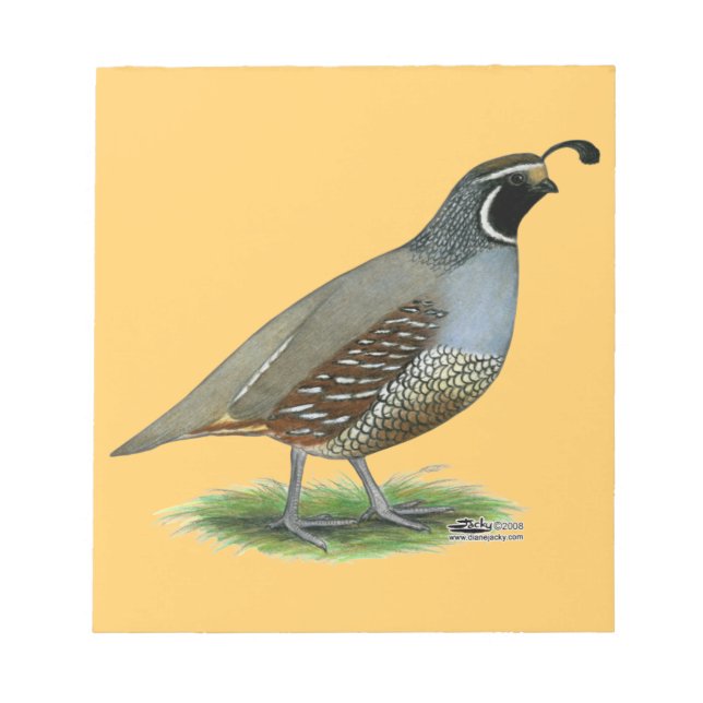 California Valley Quail Anteckningsblock (Framsida)