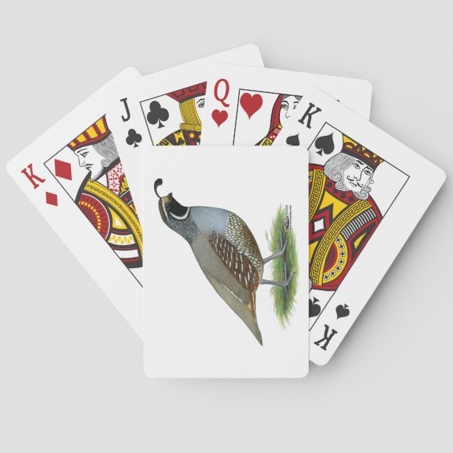 California Valley Quail Casinokort (Baksidan)