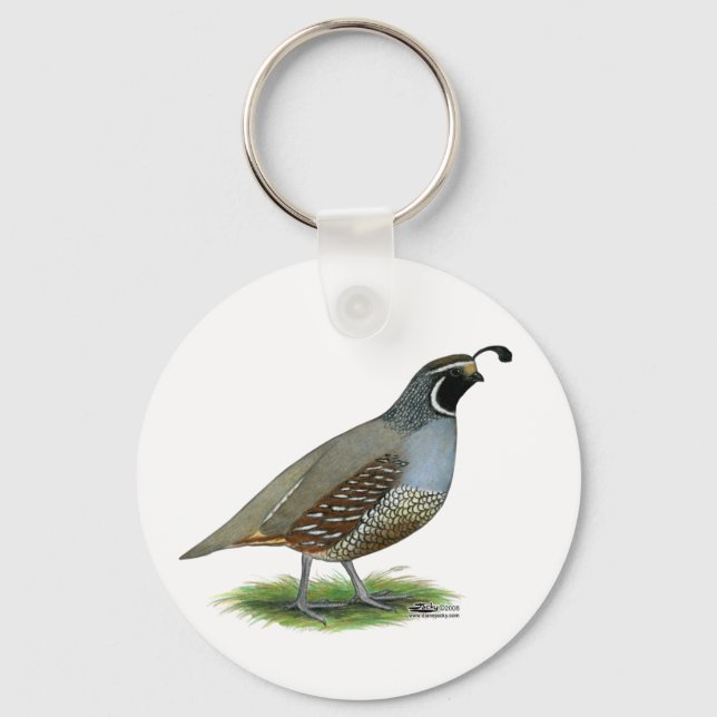 California Valley Quail Nyckelring (Framsida)