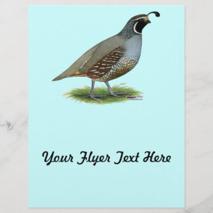 California Valley Quail Reklamblad
