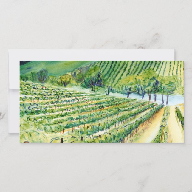 California Vineyard Photo Card (Framsida)