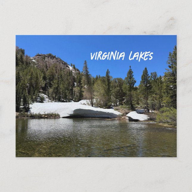 California Virginia Sjöar Ligcape Vykort (Framsida)