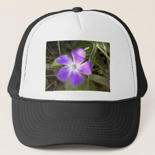 California Wildblomma Keps