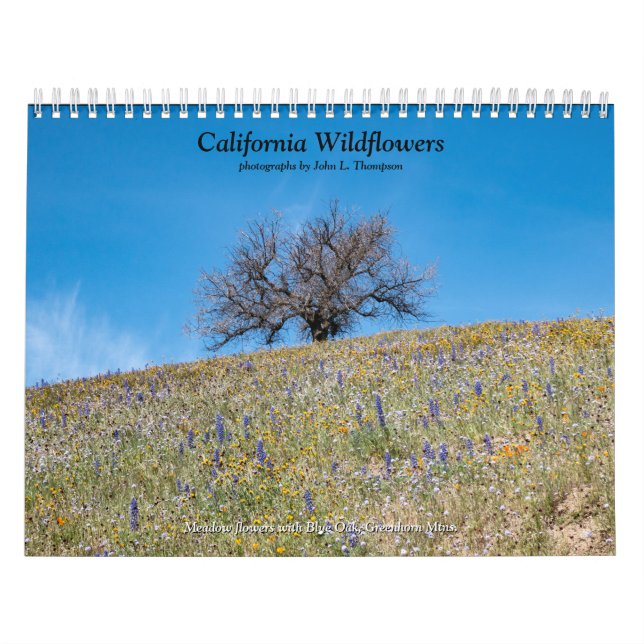 California Wildblommor 2020 Kalender (Omslag)