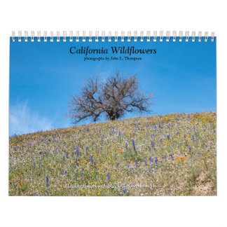 California Wildblommor 2020 Kalender