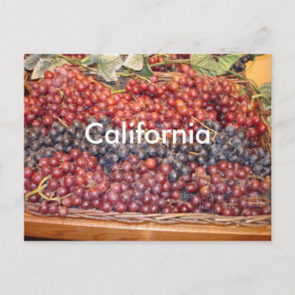 California Winery Postcard Vykort