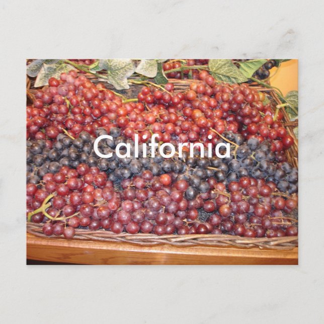 California Winery Postcard Vykort (Framsida)