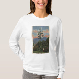 CaliforniaCentury växt i blom T Shirt