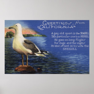 CaliforniaGreetings från, fiskmåsdikt Poster