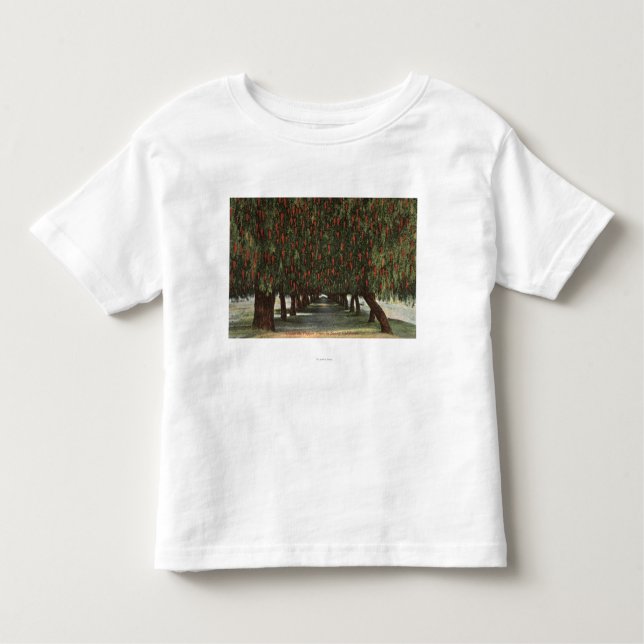 CaliforniaGroves av pepparträd T-shirt (Framsida)