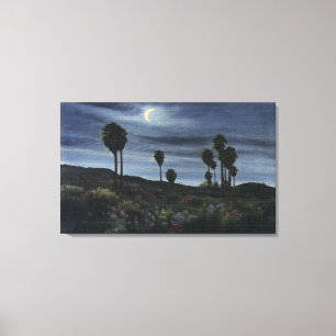 CaliforniaMoonlit beskådar på Twenty-Nine Canvastryck