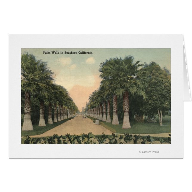 CaliforniaPalmer Längs Väg Hälsningskort (Framsidan Horizontal)