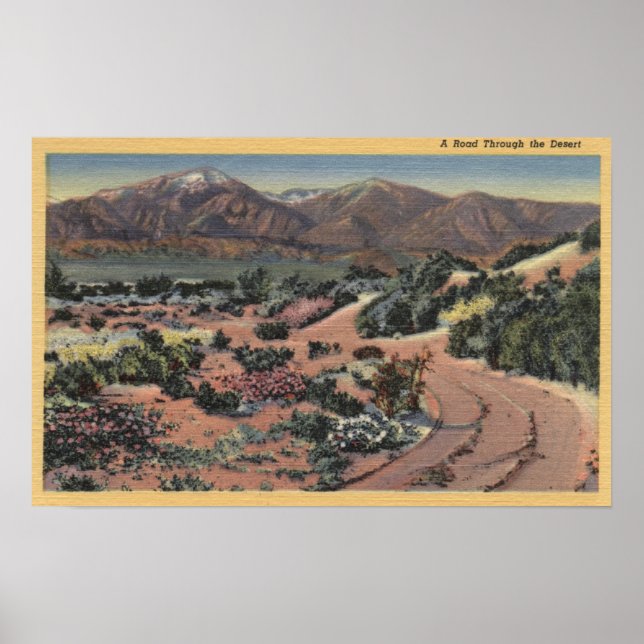 CaliforniaScenia Desert View Poster (Framsidan)
